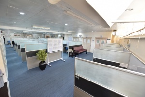 宿霧Stargate金星