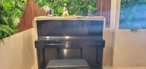 宿霧SMEAG ECANTO親子校區