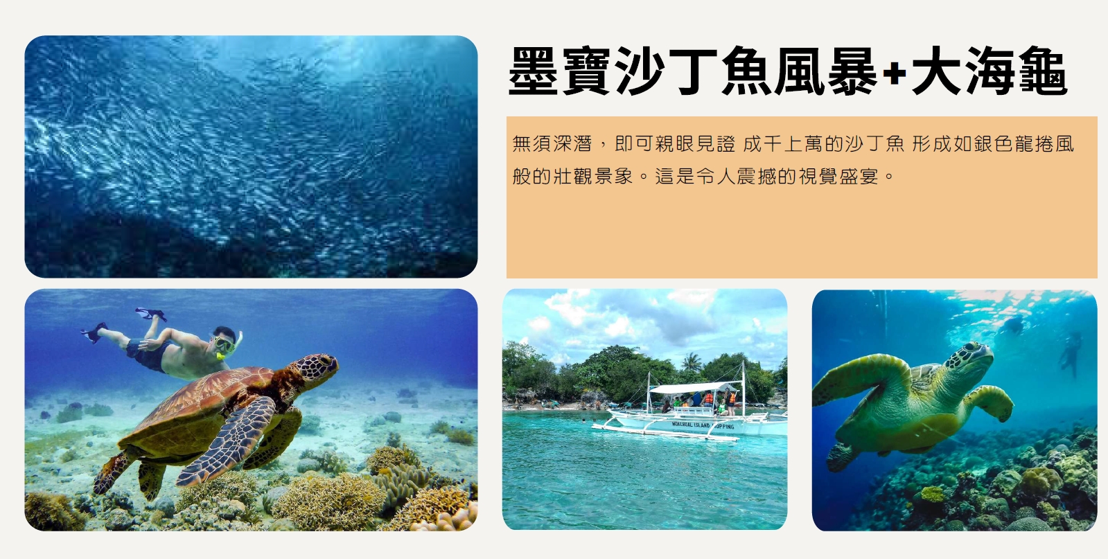 宿霧IU青少夏令營遊學團